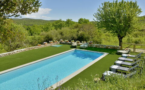 Casa la Pratellaccia 6+2: Piscine, Jardin, Loisir, Recours, Arrière-Cour, Ombre, Caractéristique De L'Eau, Eco Hôtel, Aménagement Paysager, Thermes
