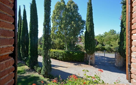 La Magia 8+2: Arbuste, Suppression Des Plantes Ligneuses, Jardin, Aménagement Paysager, À Feuilles Persistantes, Haie, Famille Pine