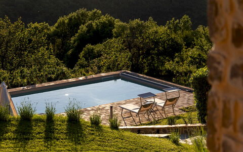 Poggio delle Lumie 6: Piscine, Mobilier De Jardin, Jardin, Balancelle, Aménagement Paysager, Arrière-Cour, Eco Hôtel, Chaise Longue, Ferme, Villa