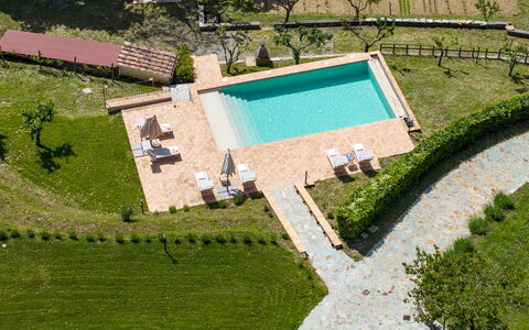 Poggio delle Lumie 6: Piscine, Jardin, Pelouse, Aménagement Paysager, Recours, Plantation, Eco Hôtel, Arrière-Cour, Gazon Artificiel, Mobilier De Jardin