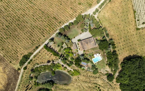 Podere Casanovina 12: Arbre, Paysage, Vue Du Ciel, Zone Résidentielle, Photographie Aérienne, Zone Rurale, Piscine, Biens, Plantation, Aménagement Paysager