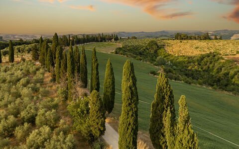 Podere Casanovina 12: Paysage Naturel, Paysage, Plaine, Lot Terre, Plantation, Champ, Prairie, Aménagement Paysager
