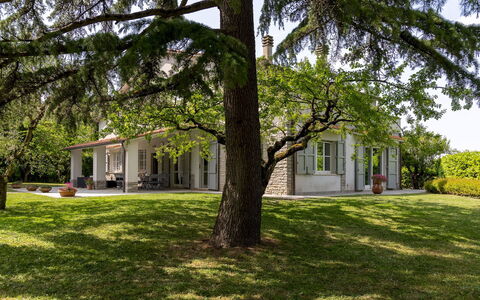 La Casetta 12: Arbre, Herbe, Feuille, Bâtiment, Domicile, Maison, Branche, Zone Résidentielle, Arbuste