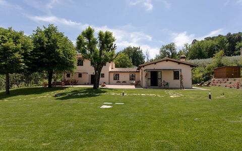 La Collina degli Ulivi 8+2: Herbe, Maison, Paysage, Zone Résidentielle, Domicile, Plaine, Zone Rurale, Lot Terre, Pelouse, Chalet
