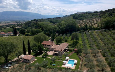 La Collina degli Ulivi 8+2: Aliments, Plantation, Agriculture, Biens, Vue Du Ciel, Ferme, Village De Montagne, Photographie Aérienne, Ferme