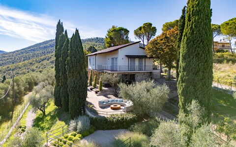 Casa dei Fiamminghi 10+2: Arbre, Végétation, Arbuste, Communauté Des Plantes, Jardin, Biens, Aménagement Paysager, Ferme, À Feuilles Persistantes