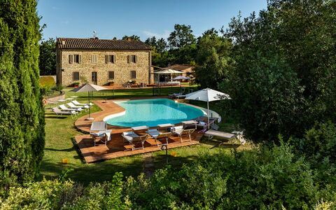 Podere Sant'Eugenio 14: Piscine, Biens, Ferme, Hacienda, Plantation, Agriculture, Villa, Eco Hôtel, Ferme, Recours