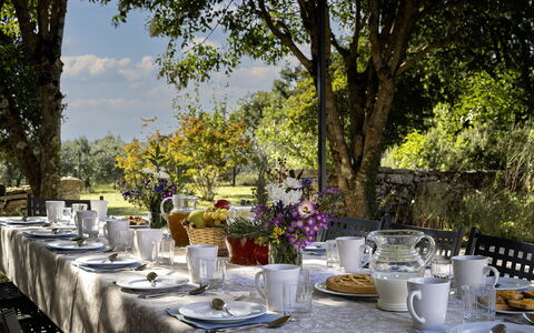 Il Castellare 14: Vaisselle, Meubles, Table, Nappe De Table, Serveware, Drinkware, Jardin, Vaisselle, Tableau De Plein Air