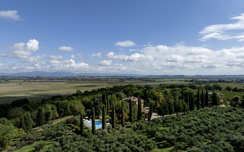 La Burraia 18: Arbre, La Nature, Végétation, Paysage, Lot Terre, Plaine, Plantation, Vue Du Ciel, Photographie Aérienne, Aménagement Paysager