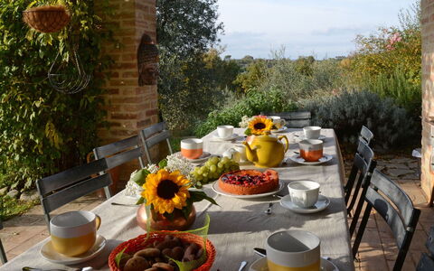 Terra San Raffaele 10+3: Meubles, Table, Vaisselle, Aliments, Chaise, Mobilier De Jardin, Table Cuisine Et Salle A Manger, Serveware, Fruit, Tableau De Plein Air