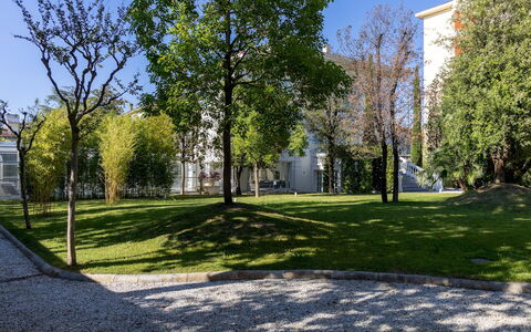 Villa la Perla Bianca 10: Branche, Feuille, Jour, Arbre, Herbe, Vert, Espace Public, Zone Résidentielle, Pelouse, Ombre