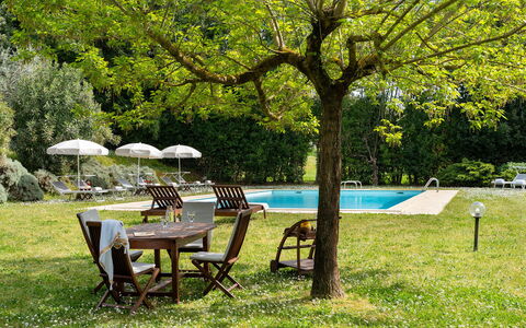 Villa delle Silerchie 10: Meubles, Mobilier De Jardin, Table, Jardin, Ombre, Tableau De Plein Air, Pelouse, Chaise, Arrière-Cour, Cour
