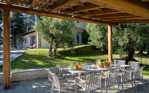 Il Poggione 10: Meubles, Bois, Table, Mobilier De Jardin, Chaise, Tableau De Plein Air, Ombre, Table Cuisine Et Salle A Manger, Structure En Plein Air, Jardin