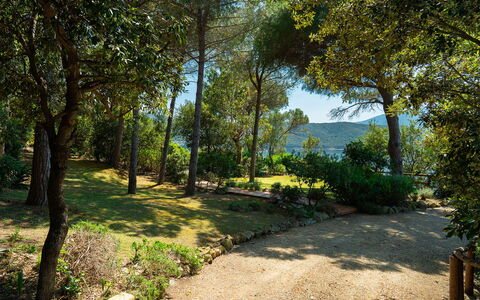 Villa Il Faro 10