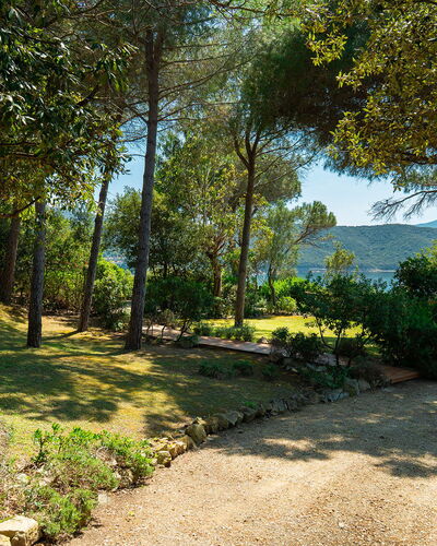 Villa Il Faro 10: Feuille, Arbre, La Nature, Vert, Branche, Végétation, Arbuste, Communauté Des Plantes, Jardin, Tronc