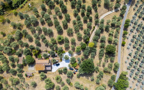 Casale le Lupe Apartments: Arbre, Paysage, Zone Rurale, Lot Terre, Vue Du Ciel, Plantation, Photographie Aérienne, Village, Aménagement Paysager, Ferme