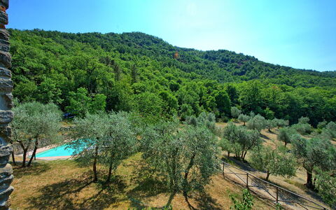 Poggio Conca: Végétation, La Nature, Région Sauvage, Réserve Naturelle, Environnement Naturel, Montagnes Relief, Arbre, Montagne, Biome, Station De Montagne