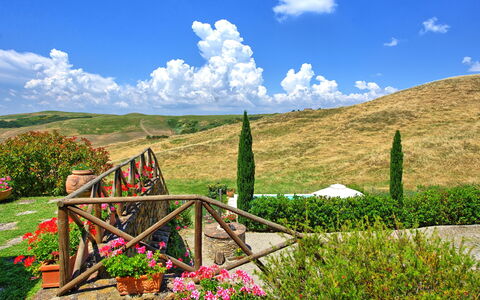Castelmuzio: La Nature, Paysage Naturel, Végétation, Ciel, Nuage, Montagne, Prairie, Environnement Naturel, Région Sauvage, Herbe