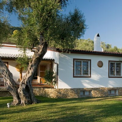 Villa Oliveta