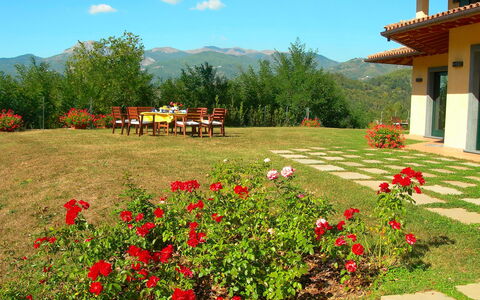 Villa Saida: Paysage Naturel, Jardin, Fleur, Propriété, Jardin Botanique, Cour, Plante, Botanique, Printemps, Région Sauvage
