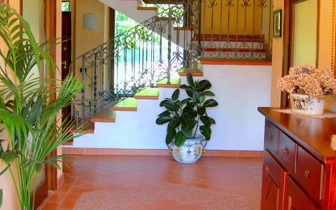 Villa Saida: Propriété, Sol, Pièce, Bâtiment, Plante D'Appartement, Hall, Design Intérieur, Tuile, Immobilier, Sol