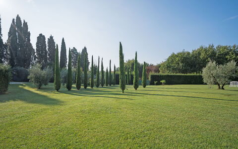 Villa Fontine: Arbre, Vert, Herbe, Paysage Naturel, Lot Terre, Complexe Sportif, Prairie, Ciel, Biome, Jardin