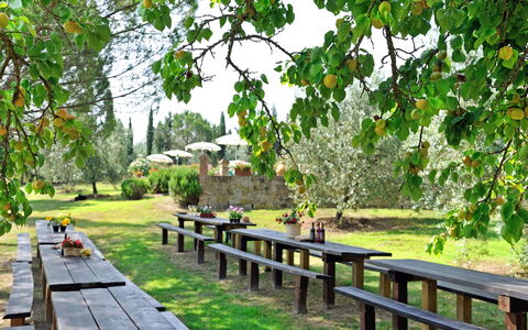 Montelopio: La Nature, Réserve Naturelle, Arbre, Paysage Naturel, Botanique, Passerelle, Herbe, Jardin, Plante, Printemps