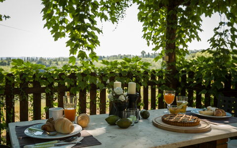 Montelopio: Table, Arbre, Plante, Brunch, Design Intérieur, Plante D'Appartement, Petit Déjeuner, Meubles, Linge, Nourriture À Manger Avec Les Doigts