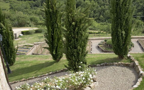 La Maccinaia 14: Arbre, Herbe, Botanique, Jardin, Maison, Architecture, Paysage, Aménagement Paysager, Plante, Bâtiment