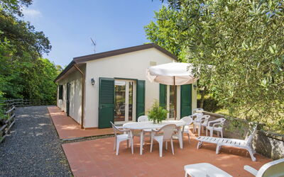 Podere Gli Olivi