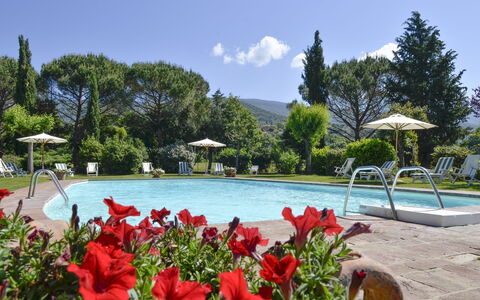 San Pietro: Piscine, Recours, Propriété, Loisir, Vacances, Botanique, Immobilier, Paysage, Tourisme, Jardin Botanique