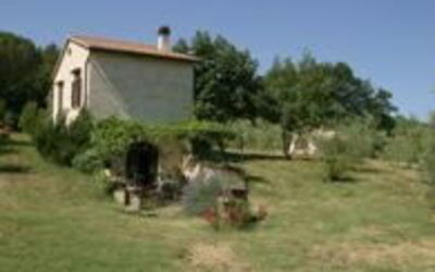 Logement:&nbsp;Zi'momo