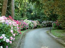 Tenuta Villa La Chiusa Schnautzer