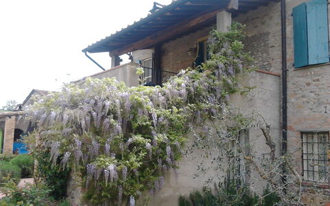 Logement:&nbsp;Appartamento Piscina