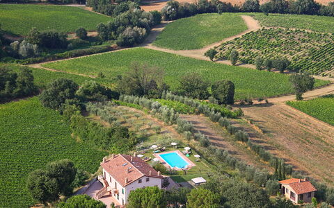 Logement:&nbsp;Poggio Olivo 870.1