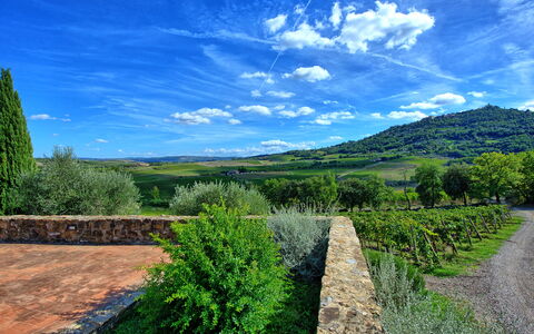 Brunello: Nuage, Plante, Ciel, Vert, Paysage Naturel, Herbe, Lot Terre, Arbre, Cumulus, Prairie