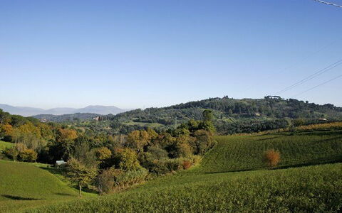 La Selva: Paysage Naturel, Colline, La Nature, Montagnes Relief, Ciel, Prairie, Végétation, Champ, Montagnes, Environnement Naturel