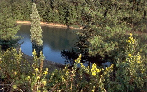 La Selva: Végétation, La Nature, Réserve Naturelle, Biome, Paysage Naturel, Région Sauvage, Arbre, Communauté Des Plantes, L'Eau, Plante