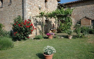 Francigena