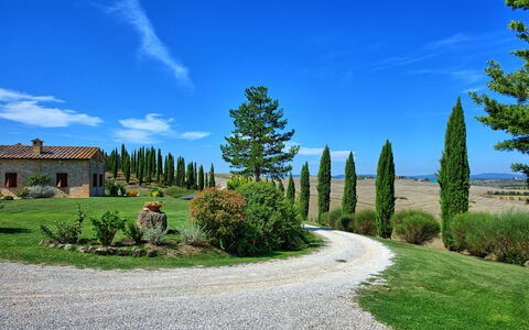 San Donnino: La Nature, Ciel, Arbre, Paysage Naturel, Bleu, Propriété, Herbe, Nuage, Biome, Suppression Des Plantes Ligneuses