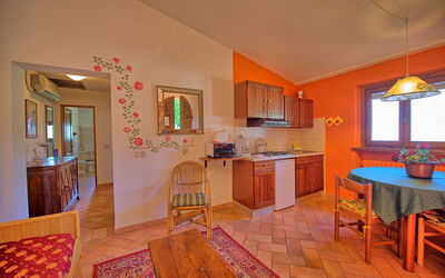 Logement:&nbsp;Belvedere
