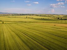 Agriturismo San Francesco
