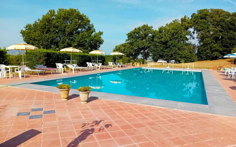 Fattoria le Chianacce: L'Eau, Ciel, Plante, Bâtiment, Piscine, Bleu Azur, Arbre, Mobilier De Jardin, Nuage, Chaise