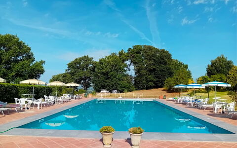 Fattoria le Chianacce: L'Eau, Ciel, Plante, Nuage, Piscine, Bâtiment, Bleu Azur, Arbre, Mobilier De Jardin, Ombre