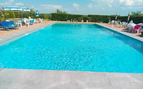 Fattoria le Chianacce: L'Eau, Propriété, Nuage, Piscine, Ciel, Bleu, Bleu Azur, Plante, Rectangle, Arbre