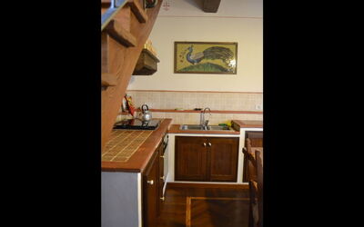 Logement:&nbsp;Selene