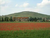 Logement:&nbsp;Gallo
