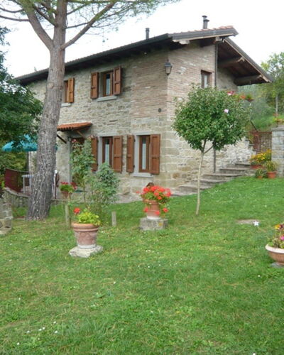 La Falcionaia