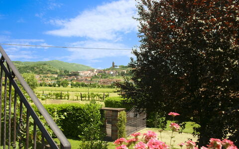 Pozzonovo: Colline, Paysage, Arbuste, Lot Terre, Jardin, Printemps, Station De Montagne, Pelouse, Aménagement Paysager, Cour
