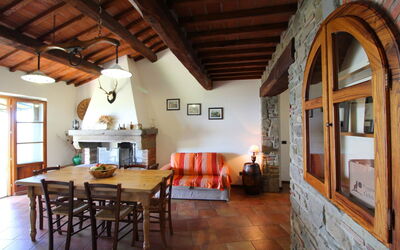 Logement:&nbsp;Poiana